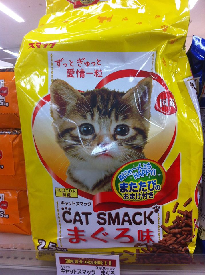 catsmack.jpg