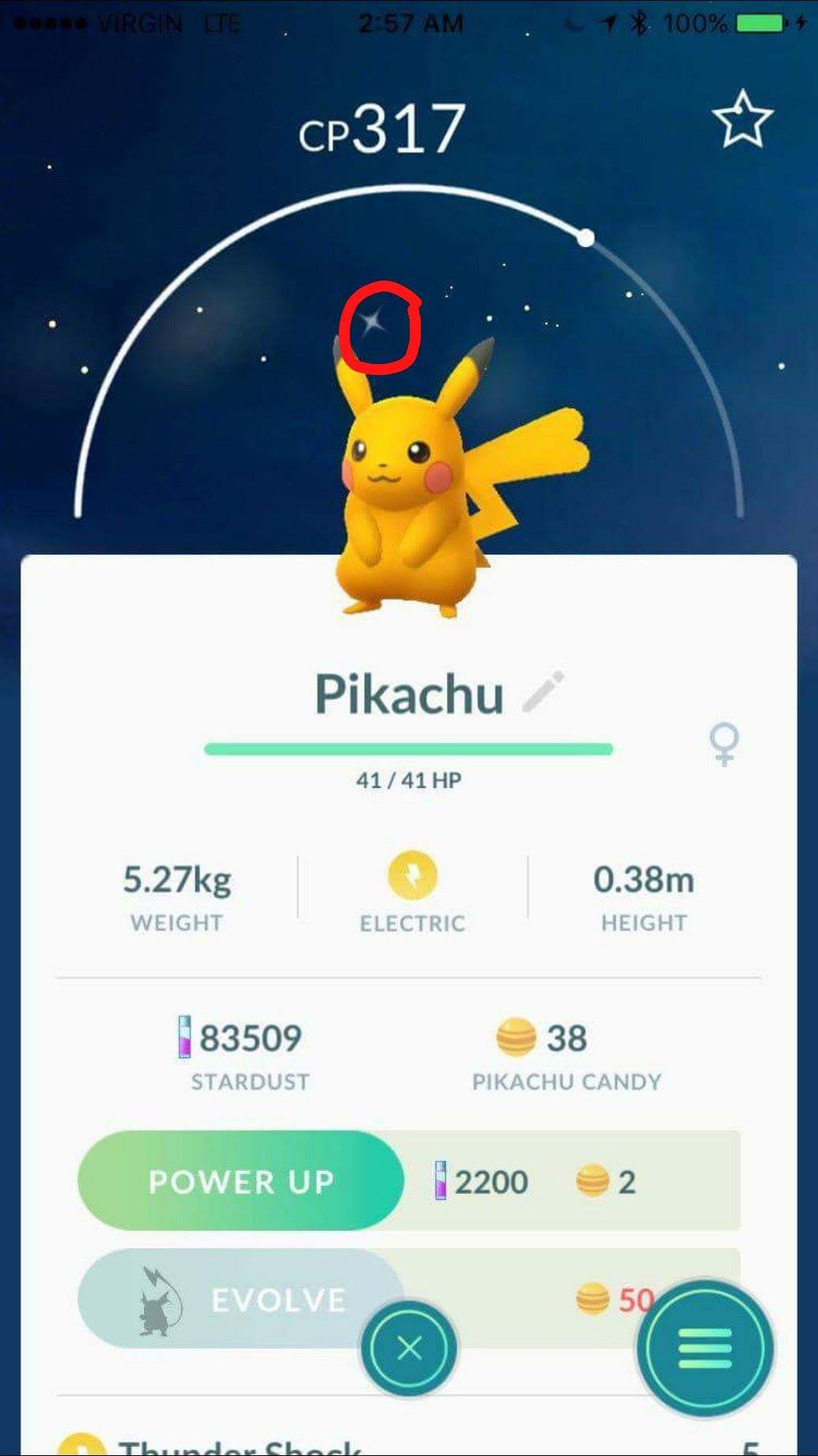 shiny pikachu 1