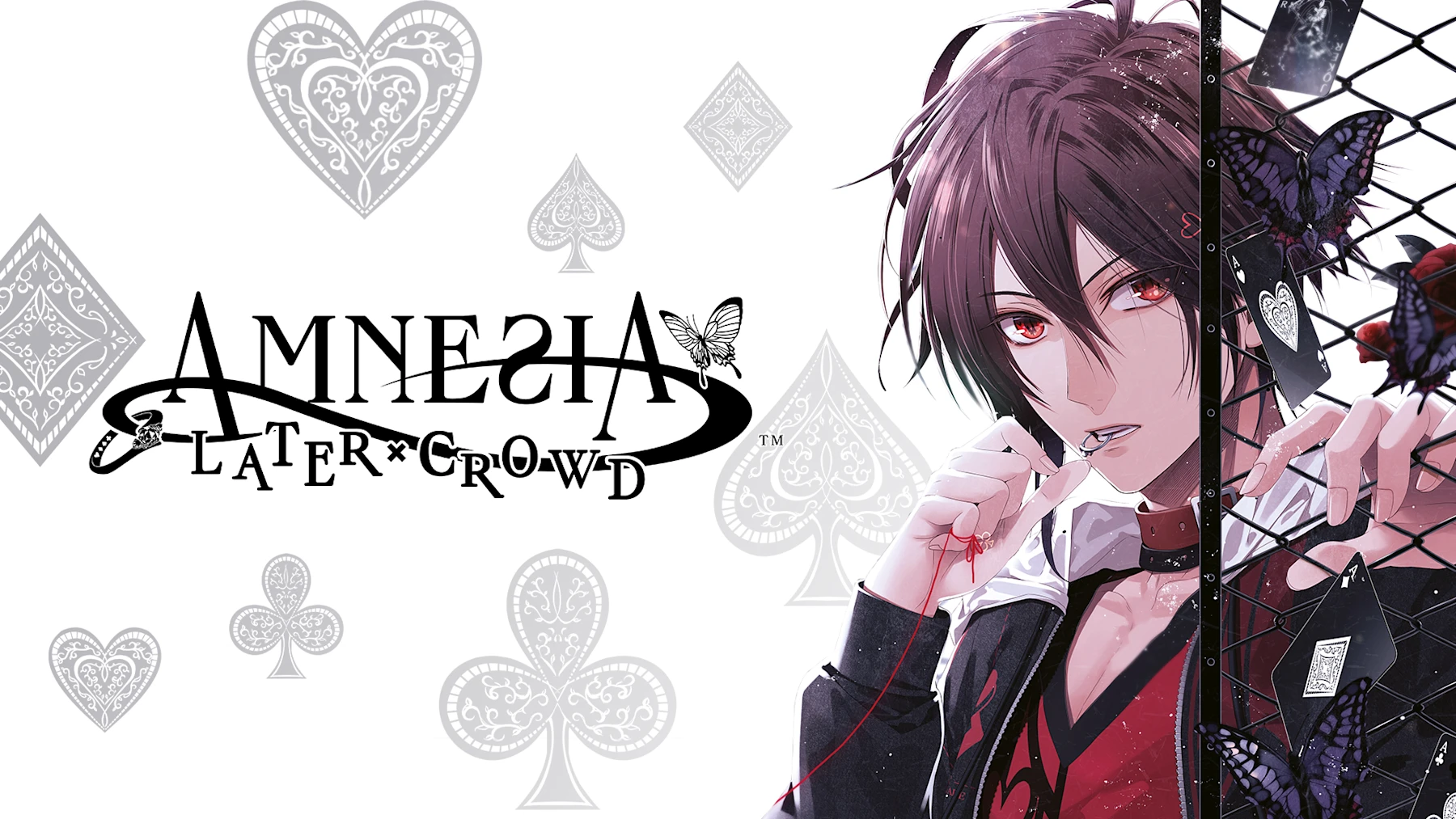 amnesia-later-crowd-fandisc-switch-review-3.png