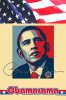 Obamarama copy.jpg