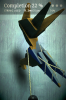 IMG_0007.PNG