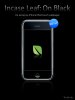 Incase Leaf - On Black (Preview).jpg