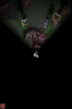 IMG_0048.PNG