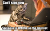 wrongon internet.png