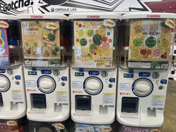 IMG_3378.jpeg
