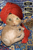 swami_screen_A)small.png