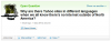 answersfool2.png