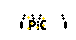 PiC_necklace-shield.gif