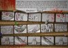 StoryboardEnglish.jpg