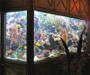 Aquarium.jpg