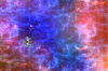IMG_0003 copy.png