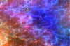 IMG_0005 copy.png