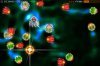 silverfish_alpha_retina02.jpg
