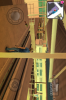 gangstar pic2.png