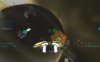 nogravity0007.jpg