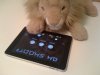 lion_tester_b.jpg