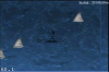 surf1.png