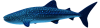 whale_shark_0038.png