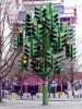 magical trees 1.jpg