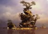 Magical-Tree.jpg