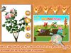Baby Plants Flowers1.jpg