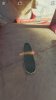 TrueSkateSS2.jpg