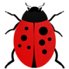 Bieda_2_120x120_3_small.png