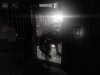shadows_02.jpg