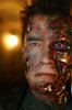 arnold.schwarzenegger-terminator-3.jpg