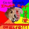 t-dog.jpg