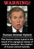hybrid.jpg