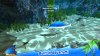 Fish2.jpg
