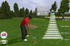 tiger.jpg