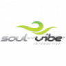 Soul and Vibe