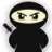 Thekoolninja