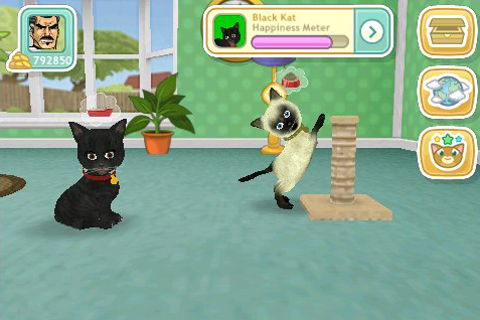 Pet Show Craze > iPad, iPhone, Android, Mac & PC Game