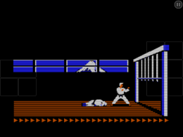 Karateka Classic shot 7