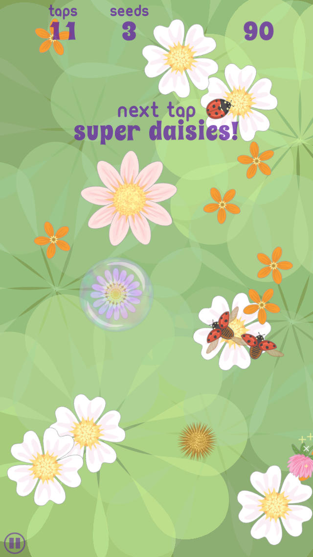daisypop