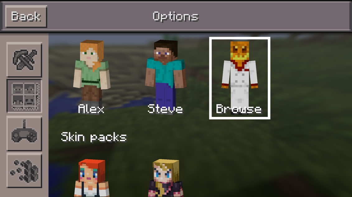 Skins Mod for iOS - Minecraft Pocket Edition 