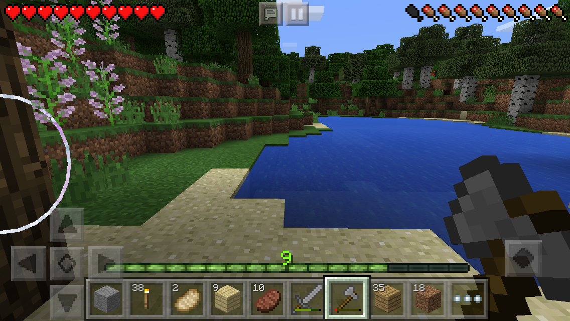 Minecraft: Pocket Edition (for Android) Review