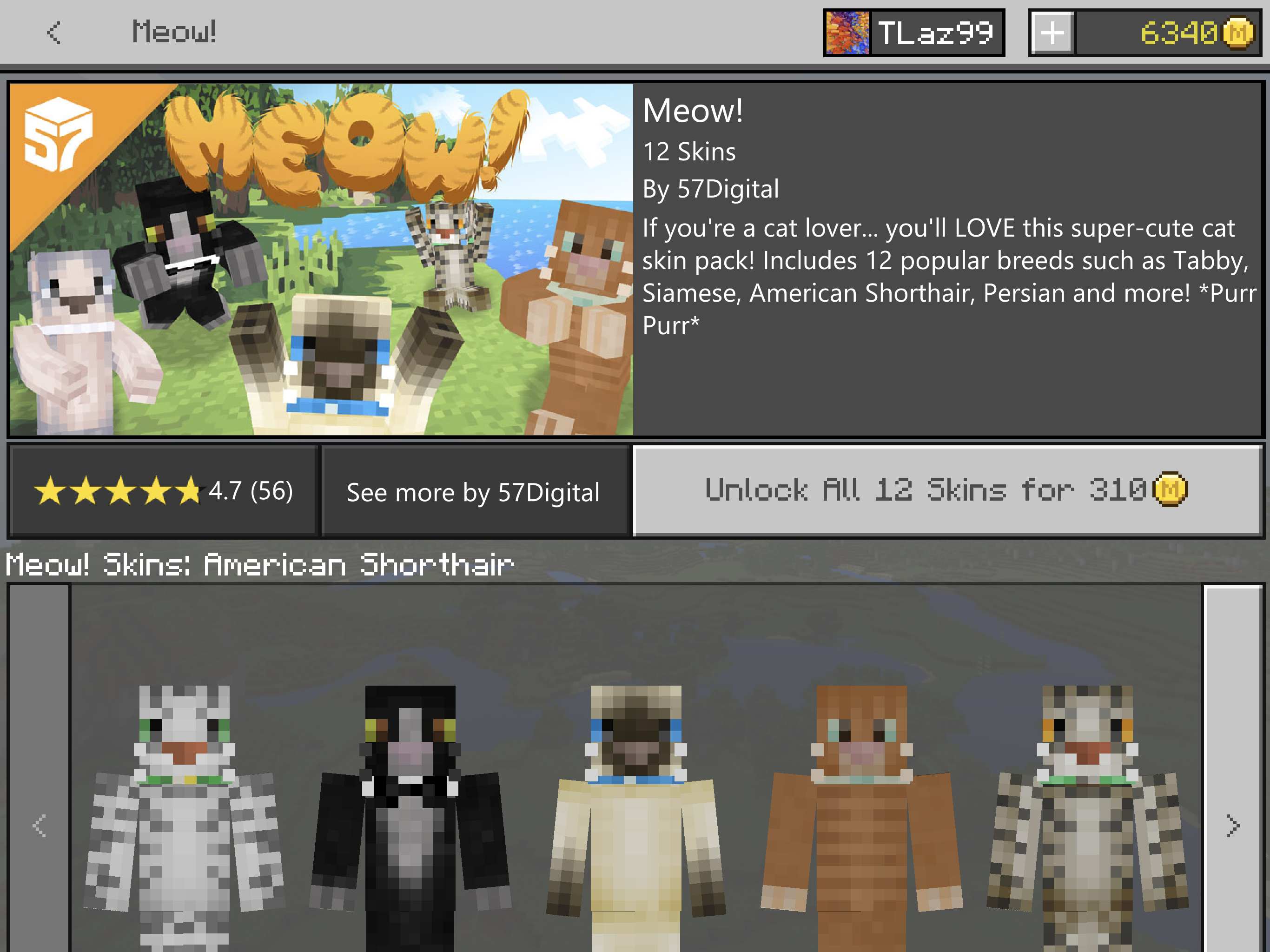 50 Teens Skin Pack in Minecraft Marketplace