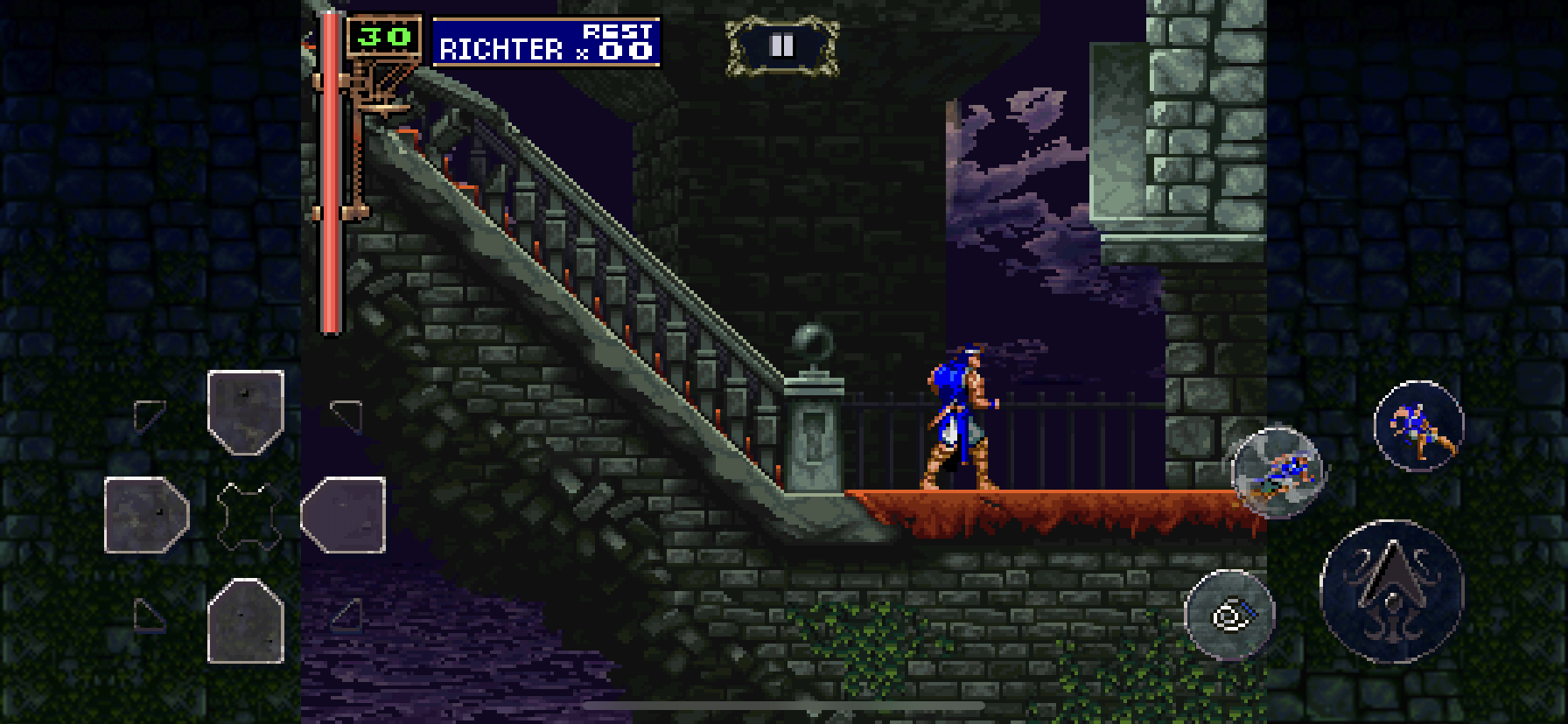 Castlevania symphony of the night реликвии